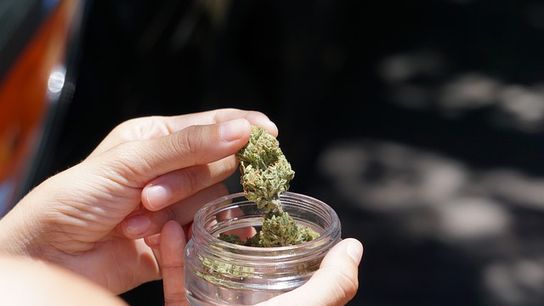 Floridians to Vote on Recreational Marijuana Legalization: Billions at Stake (Live in Florida )